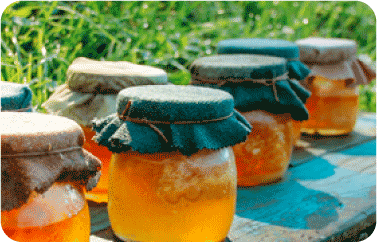 أجود عسل المانوكا الطبيعي من معجزة الشفاء