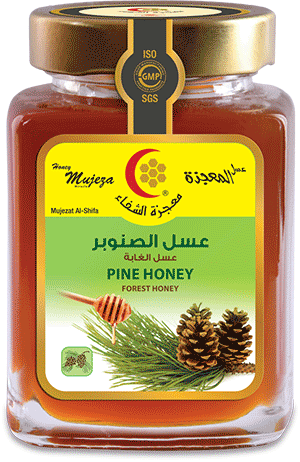 Pine Honey (Forest Honey)